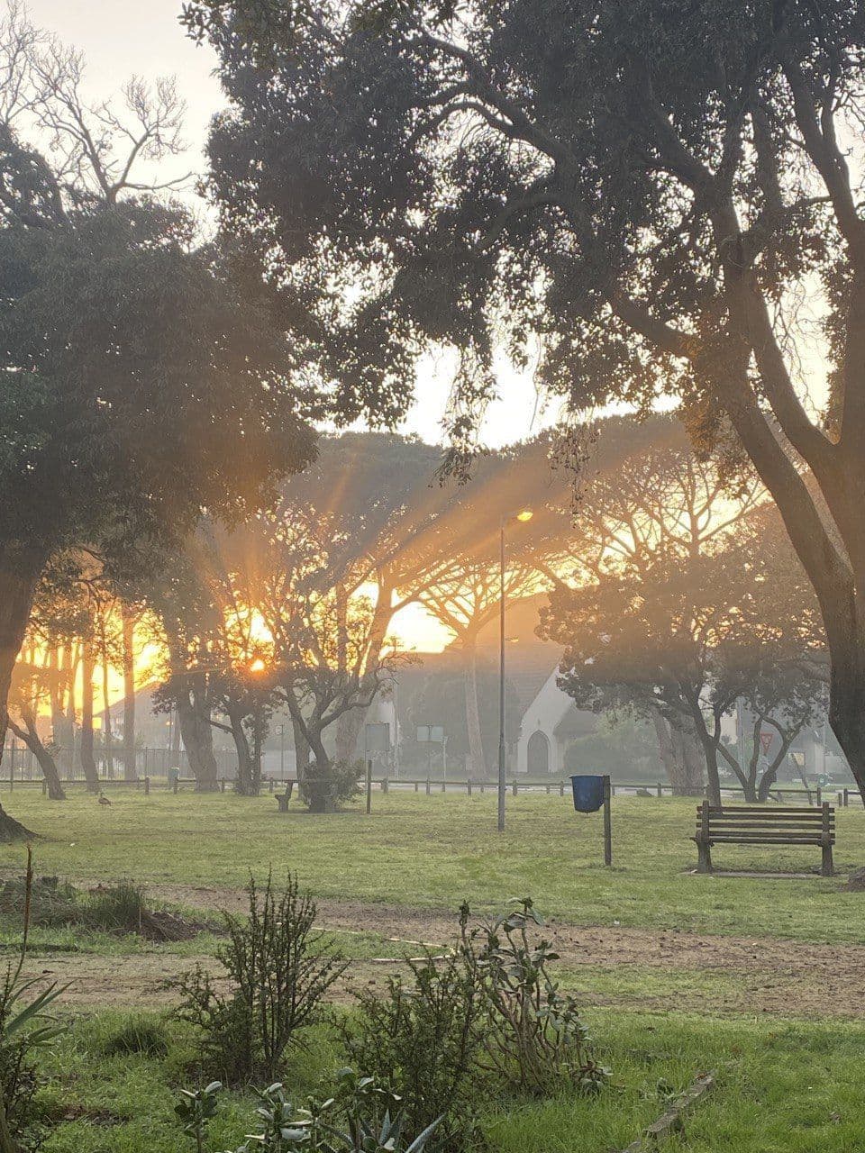 Morning light through the trees in the park across from the chapel